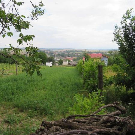 Apartman Bohemia Podhájska Extérieur photo
